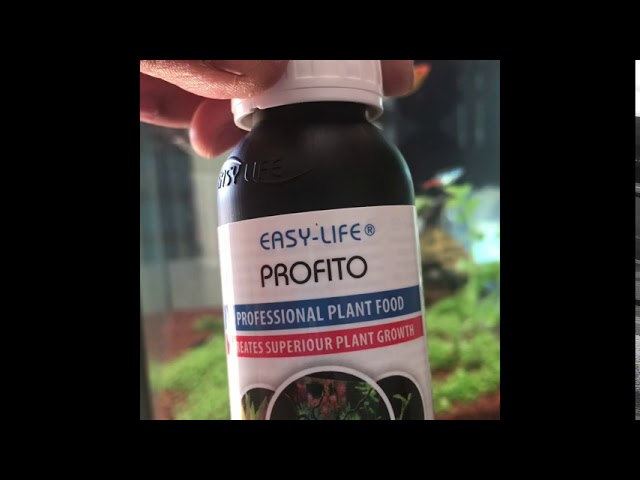 Easy life Profito - YouTube
