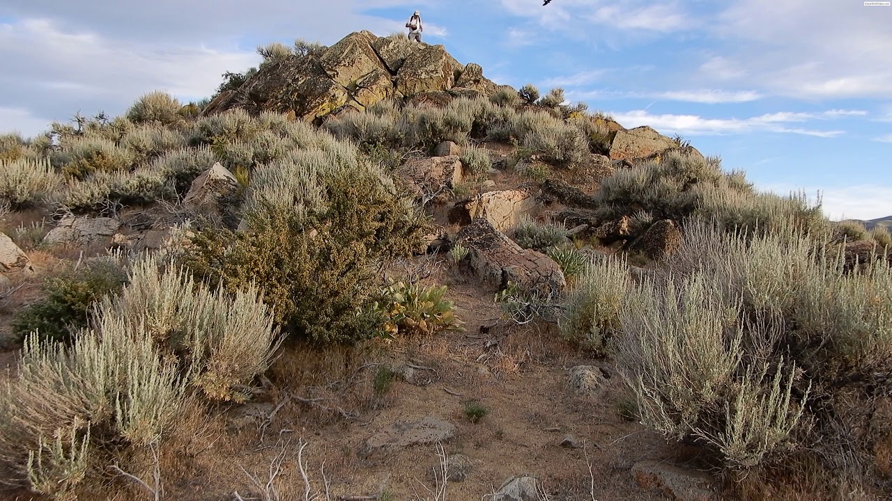 4X Hike to the Highpoint of the North Valleys Regional Park, June 24, 2019