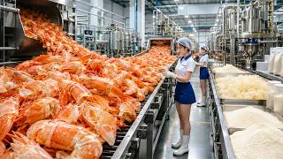 Inside a Chitosan Factory | Turning Shrimp Shell Waste Into Valuable Biomaterial