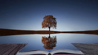 Reflections on Preparing for Advent