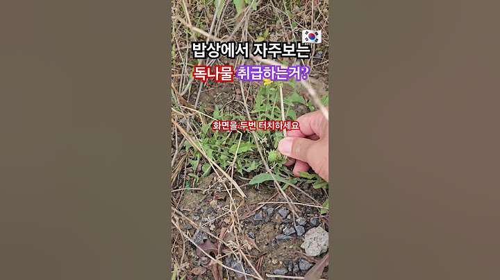 한국밥상에서 흔희 보는 나물인데 해외에  독나물로 취급합니다