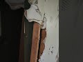 Abandoned House Florida (see description)