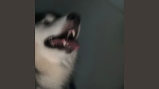 YouTube video 812AHsRGS7w