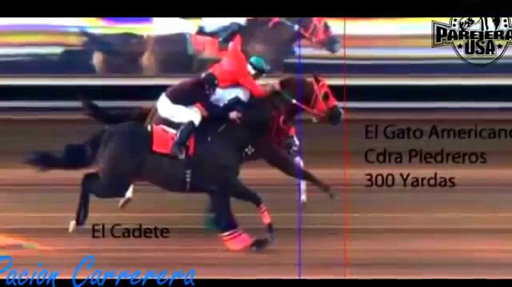 Carrera de El Cadete vs El Gato Americano 5 30 2015