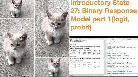 Introductory Stata 27: Binary Response Model part 1 (logit, probit)