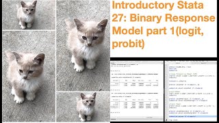 Introductory Stata 27: Binary Response Model part 1 (logit, probit)