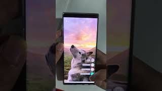 🐶Husky 3D Parallax Live Wallpaper - 4K Background screenshot 3