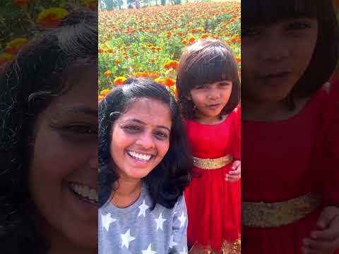 ഇതിപ്പോ ഒരു വെടിക്ക് രണ്ട് പക്ഷിയായപോലായല്ലോ???