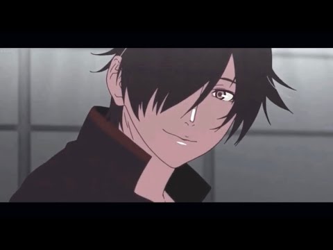 bin /傷物語