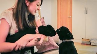 MEETING ZALFIE'S PUPPY