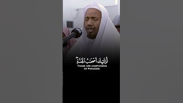 خشوع وهدوء في تلاوة آيات بينات من #سورة_يونس بصوت القارئ الشيخ #عبدالرشيد_صوفي