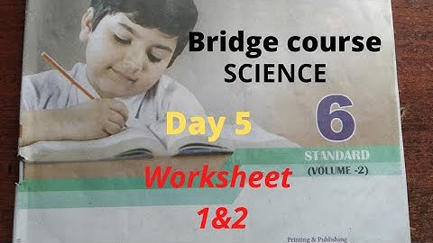 6th Science Bridge course module workbook answer/Day 5/worksheet 1&2/ @GjStudies
