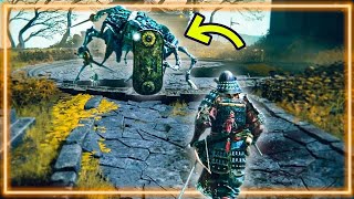Can a Souls-Like Noob Beat the Tutorial Boss in Elden Ring?