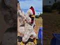 You know what else is extreme and COOL? Watching episodes 1-12 of Rooster Fighter! Go do it cluckers