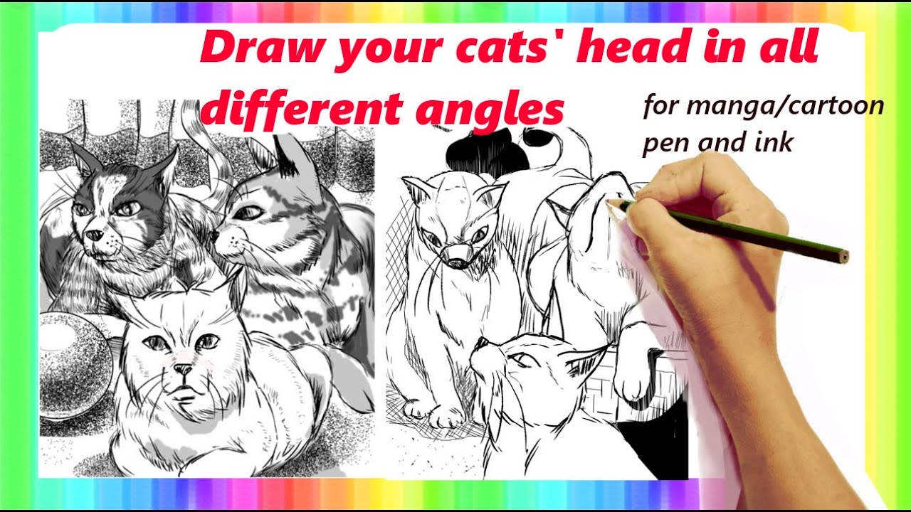 Easy cat drawing head for beginners (step by step) YouTube