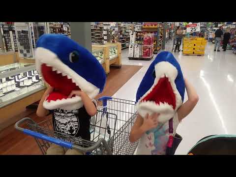 maskimals shark