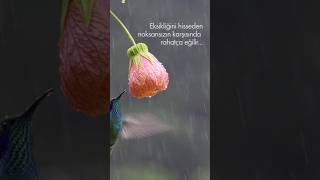 Ekliğini Hisseden Noksansızın Karşısında Rahatça Eğilir...