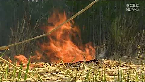 Thousands without power as Sask. wildfire still days away from being controlled