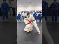 업어치기 실전 세미나 Seoi nage Competition Seminar