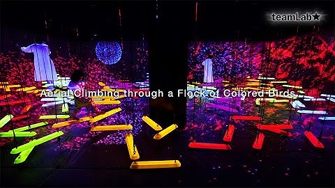 Aerial Climbing through a Flock of Colored Birds