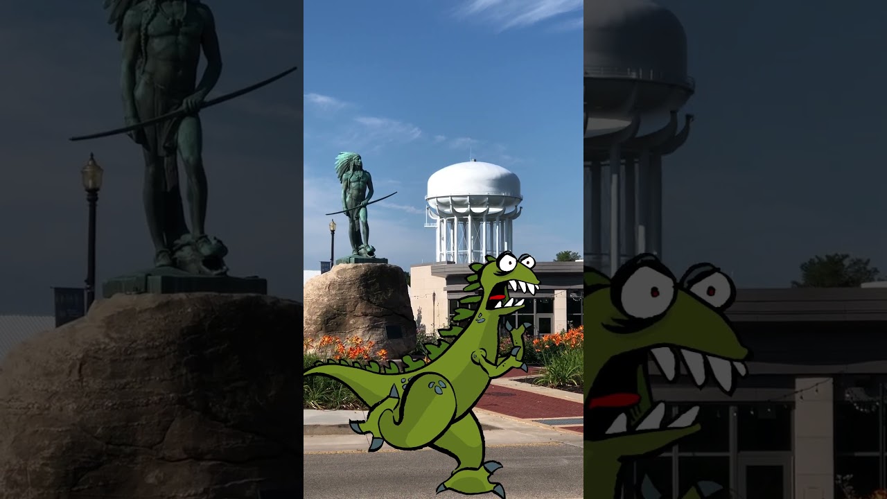 How Many Turtles?