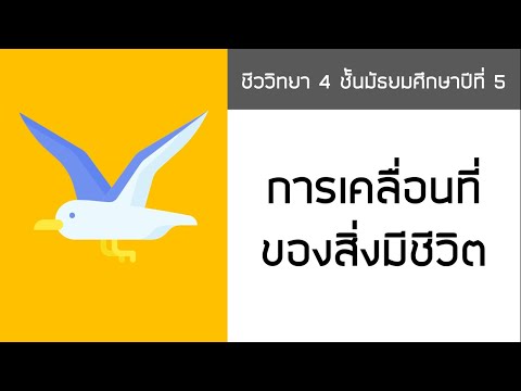 วีดีโอ: สิ่งมีชีวิตใดใช้ Pseudopods ในการเคลื่อนย้าย?