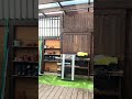 外猫のために庭をここまでDIYしました