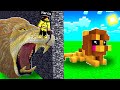 HO IMBROGLIATO ZEYXON NELLA GARA DI COSTRUZIONE DI MINECRAFT