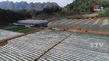 Ứng dụng công nghệ cao trong sản xuất nông nghiệp tại  Đông Sang