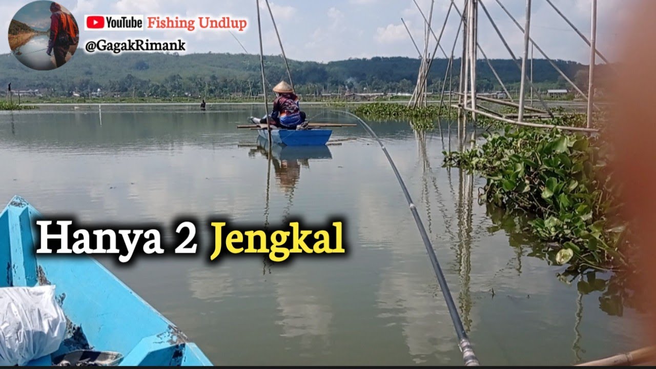Tembak Dangkal masih Jacpot Nila Ekor Merah/Mancing Rawa Pening Terbaru.#FU-336 #mancingrawapening 