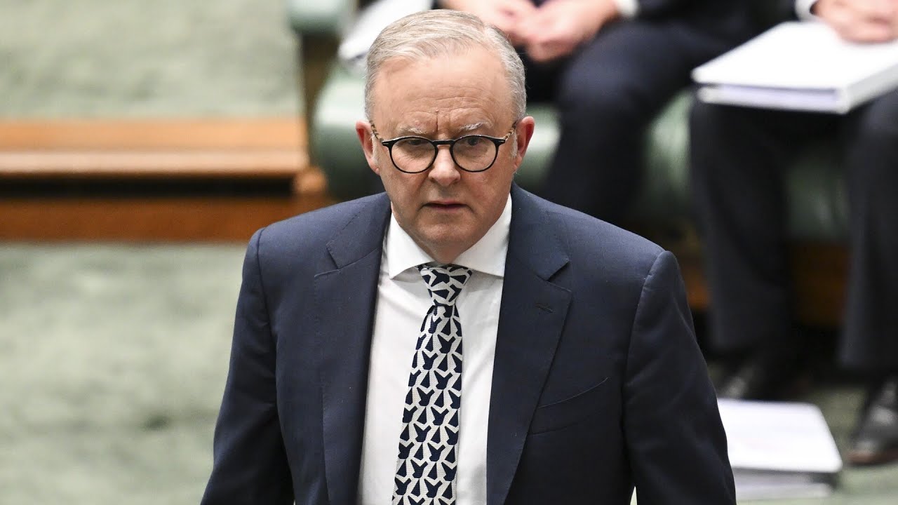 ‘Should have apologised’: Albanese under fire amid Iranian antisemitic attacks