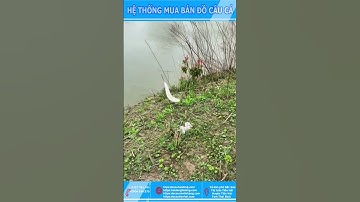 TETS THỬ CẦN CÂU ĐÀI CHUYÊN CÂU BẠO LỰC#Youtube shorts Đồ Câu Hải Đăng