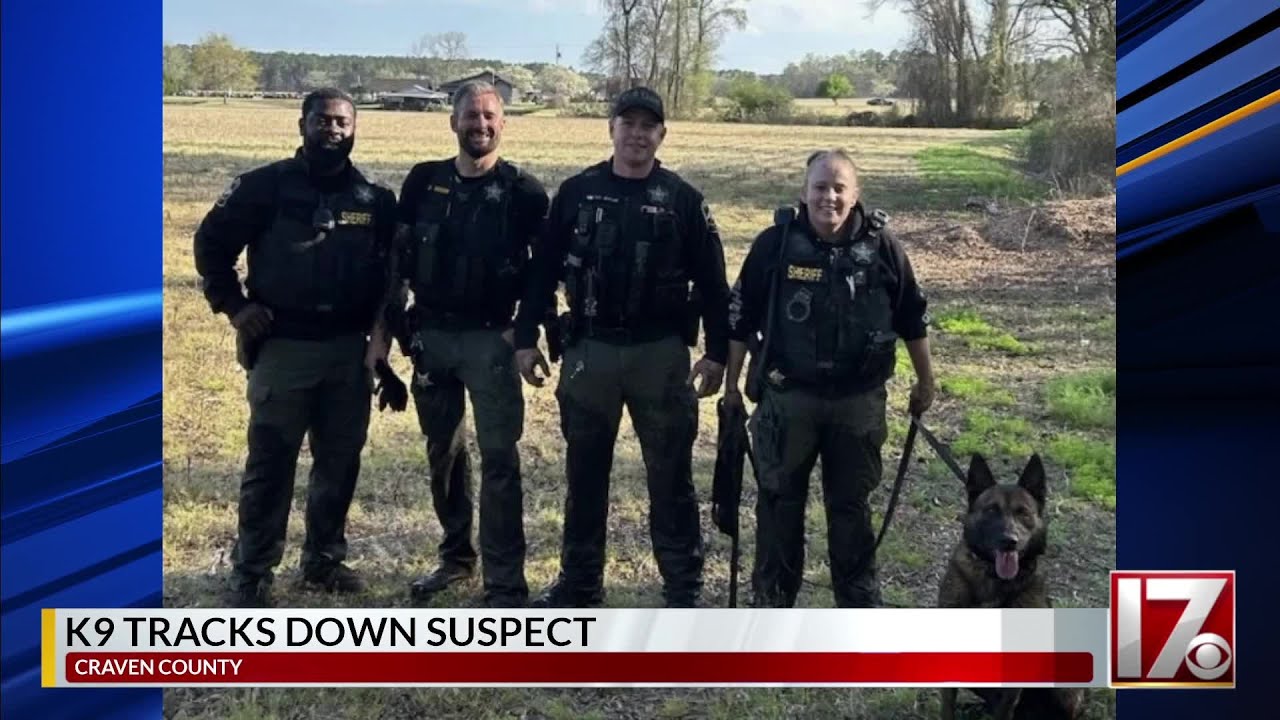 K9 helps NC deputies find fleeing suspect - YouTube