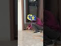 I wish we had met sooner and used this to save this ugly house, and finally laid the floor
