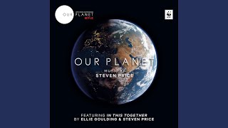Video thumbnail of "Steven Price - Great Rolling Waves (From "Our Planet")"
