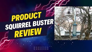 Squirrel Buster Bird Feeder - Product Review