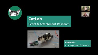 CatLab: Scent & Attachment Research