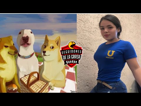 memes|video-random|humor-mexicano|si-te-rÍes-pierdes