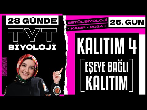 25) Kalıtım 4 | 10. Sınıf Biyoloji | 2024 TYT Biyoloji Kampı 25. Gün