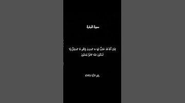 سورة البقرة الآية 141 #القرآن_الكريم #المصحف #viral #viralvideo