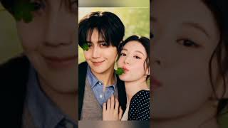 can this love be translated compatibility check