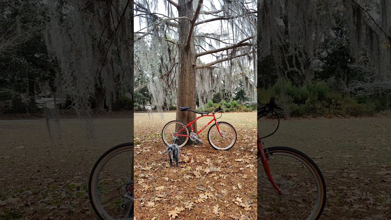 Weirdest yet exceptionally good bicycle Allsop mountain bike 