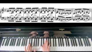 Ludwig Van Beethoven- Sonata No 17 (D Minor) Tempest 1st Movement (With Sheet Music)