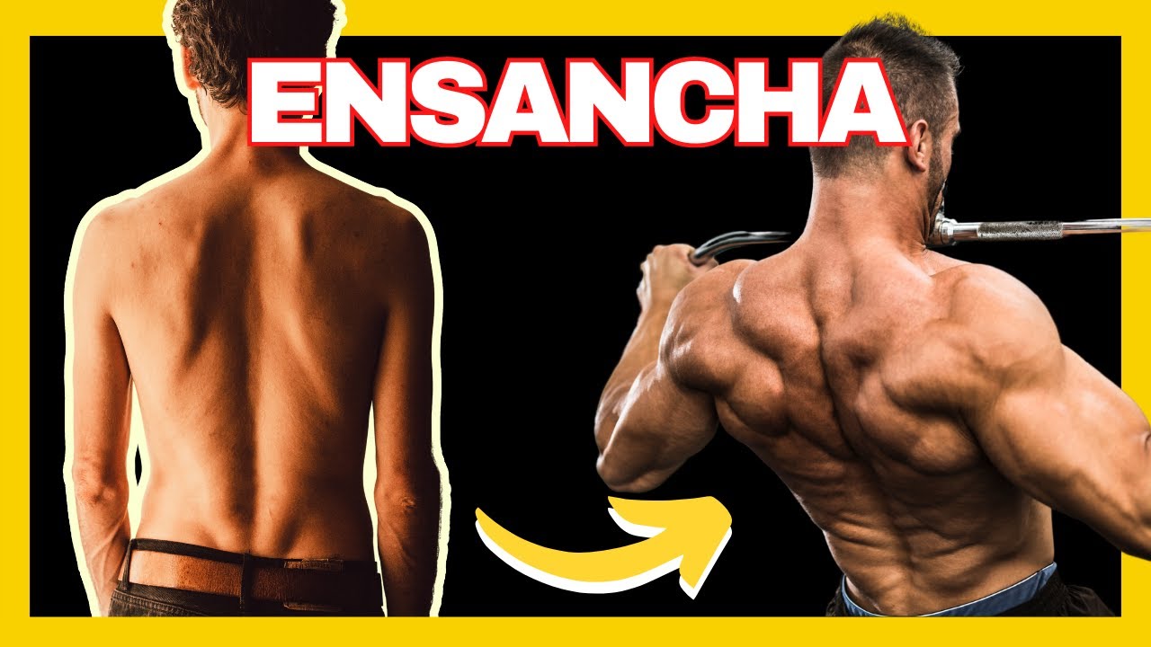 Los MEJORES EJERCICIOS para ESPALDA en el GYM | Rutina de Espalda ...