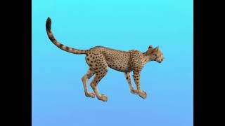 3D Cheetah Animated and Rigged