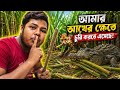 আমাদের আখের ক্ষেত 🥀 ছোট্ট একটি ব্লগ 🌿 #ব্লগ #vlog #trending #vairal #bangalavlog #bangla #আখ