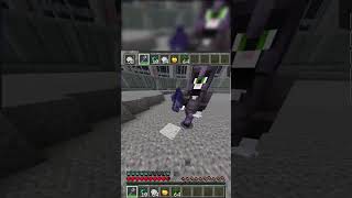Feather Client Minecraft Gameplay