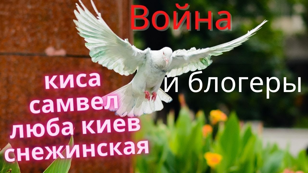 Блогерша люба киев