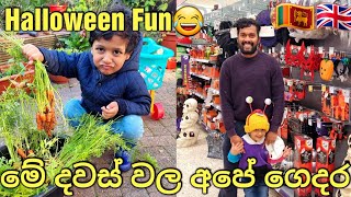 Halloween Fun??‍♀️ | Life In UK | UK Grocery Shopping | Meal Prep | UK Sinhala Vlog | Lankans In UK