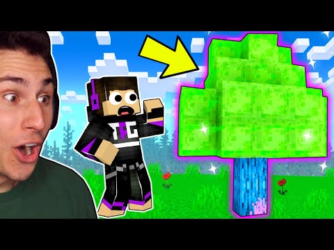I Created A SLIME TREE In Minecraft!